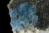 Blue Cubic Fluorite on Smoky Quartz - China #140722-1